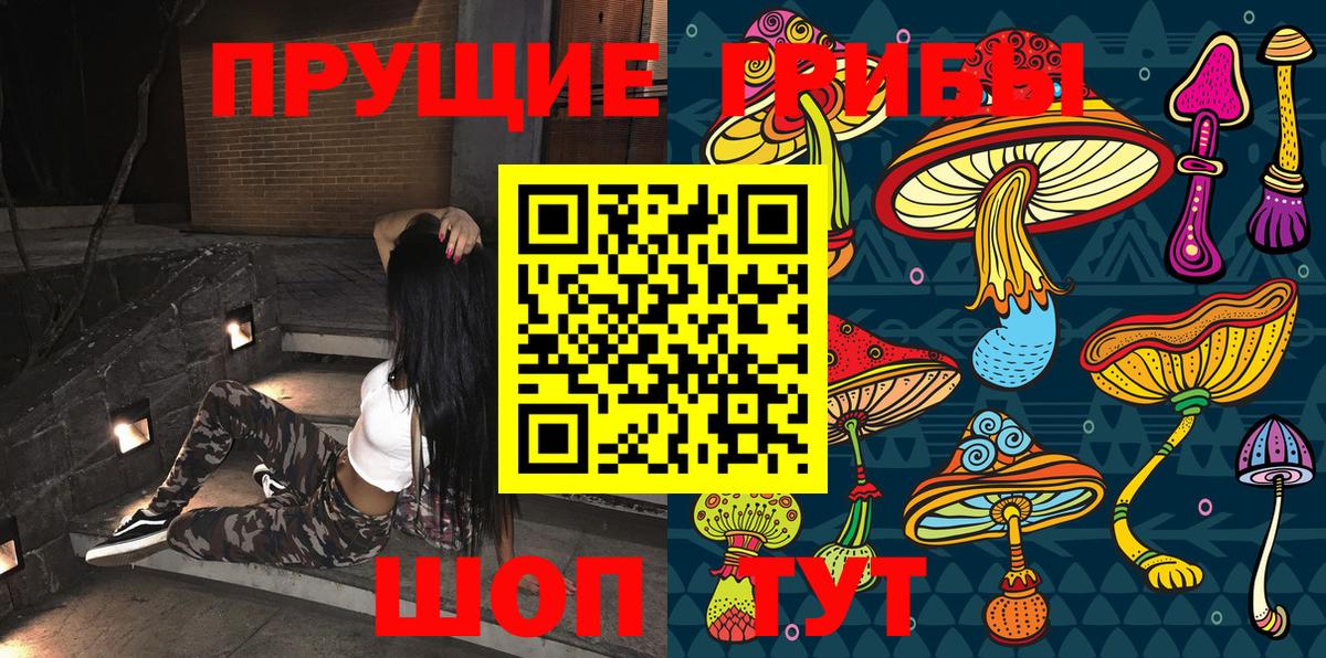 Псилоцибиновые грибы ЛСД Сибай