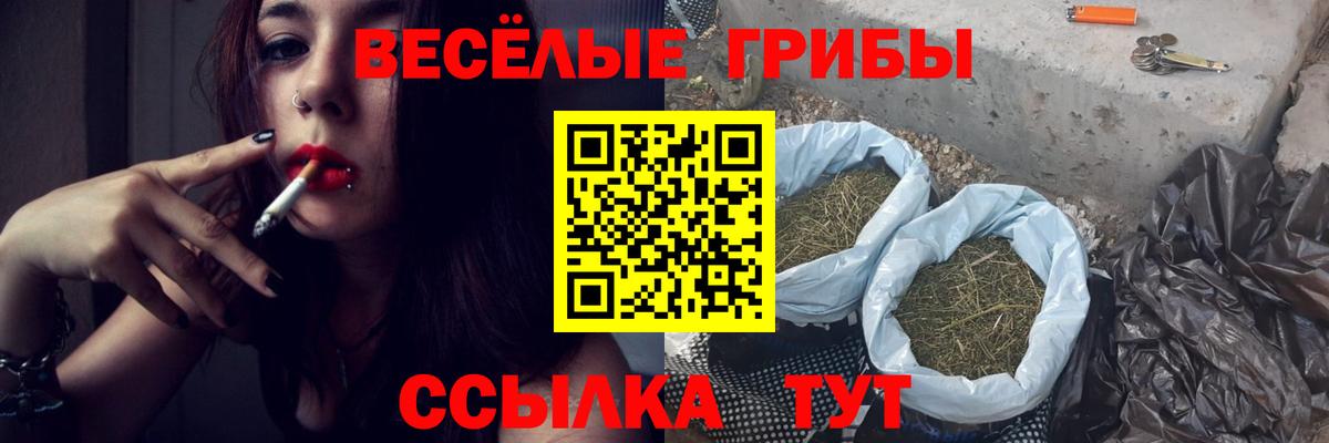 Сибай  Галлюциногенные грибы Psilocybe  Вход с VPN  дарнет шоп  Галлюциногенные грибы Magic Shrooms 